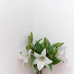 Eden لا سبيتسْيا